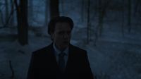 What was that? A dog?