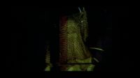 What-- What the fuck?