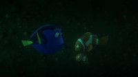 What would Dory do