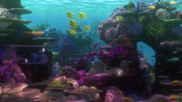 What's thatI know what that is Sandy Plankton saw oneHe said it was called a buttWhoa WowThat's a pretty big buttOh look at me I'm going to touch the butt