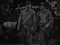 Which tree, Sarge?