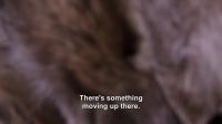 [whispering]