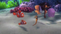 Hello Who is this I'm NemoNemo all new explorers must answer a science questionOK You live in what kind of homeAn anemon noneA nemenem menomeOK don't hurt yourself Welcome aboard explorers