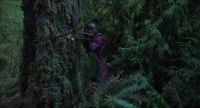 Who's there?