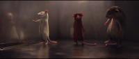 Why are we mouses