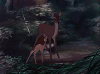 What happened Mother Why did we all runMan was in the forest