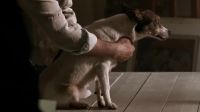 Come here