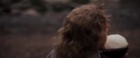 Willow? The wand
