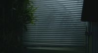 (windows rustling)