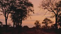 With the light fading
