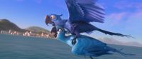 Wow. Blu! You're flying! Yeah! l'm flying! l'm really flying. You're right, l'm not an ostrich. l'm