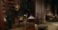 Yes Great thinking RabbitWe'll use all of these books to make a fake floor that she'll fall throughStraight into a pit full of piranhasand and lava and baconWhy she won't know what hit her ShhShh
