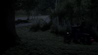 You bastards!