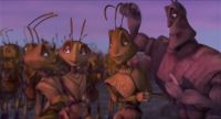 You da ant