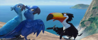 Nowyou flap your right wingyou flap your left wing and together you flyBut this doesn't seem aerodynamically possibleYou think too muchFlying is not what you think up here it's what you feel in