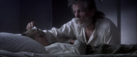 You may be an orphan