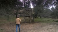 You really out here looking for deer?