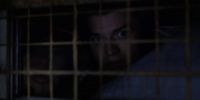 You see him?
