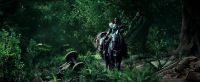 You. What are you? And why do you attack our lands? - He does not know what you speak. - You speak o