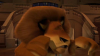 You're a bad kitty