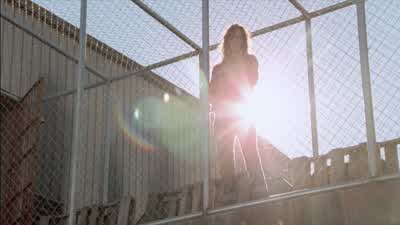 1,000 shall fall at thy side and 10,000 at thy right hand. - The Walking Dead