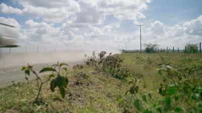 13 million seed balls have been
distributed in Kenya alone... - The Green Planet