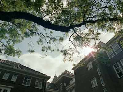 156 suicides were recorded
in 1940 in Amsterdam, - Occupied City