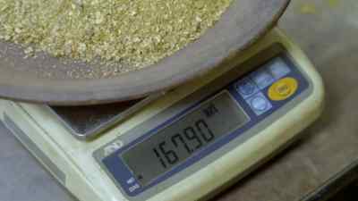 167. - Bering Sea Gold