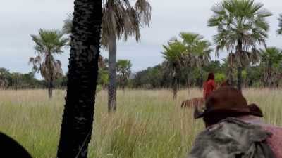 17th-century Argentina, - The Story of Film: A New Generation