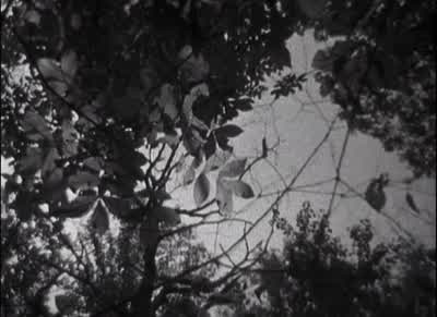 2,130 games, one more season and Cal Ripken is king! - The Blair Witch Project