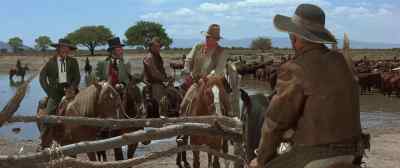 2,505 horses.
I am surprised, Mr. Thomas. - The Undefeated
