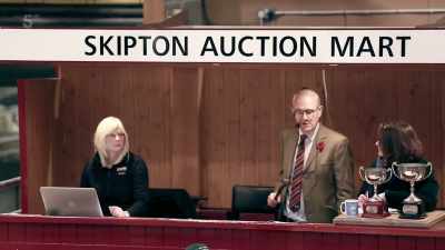 2,700 bid. - Our Yorkshire Farm