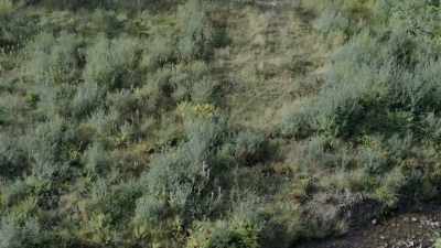 20 minutes after the winning team, - Celebrity SAS: Who Dares Wins