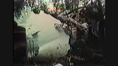 20 others,
many of them technicians - If I Leave Here Tomorrow: A Film About Lynyrd Skynyrd