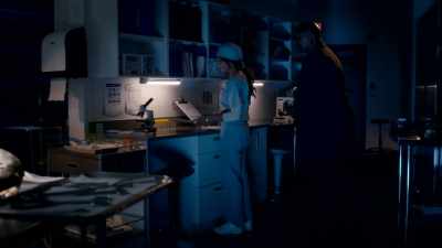 2007, 2008, - The Long Island Serial Killer: A Mother's Hunt for Justice