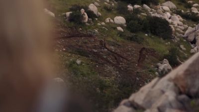 .223. - Fear the Walking Dead