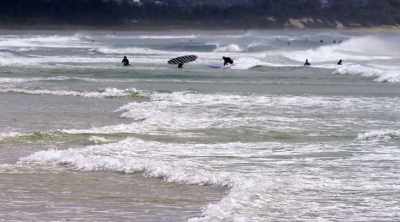 23 miles of
spectacular coastline. - Shark Attack Files