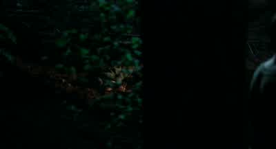 2300 hours. - Stand by Me