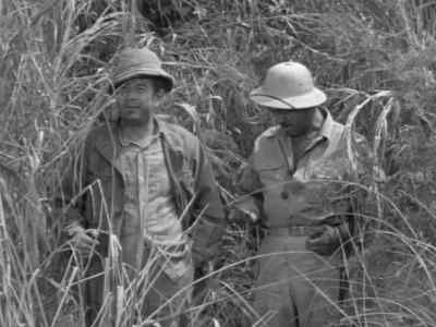 3 hours.
Where are the guides? - Tarzan's Hidden Jungle