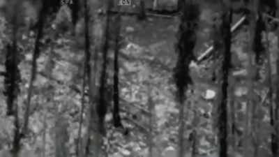 30 meters through the trees
and through the underbrush, - FBI TRUE
