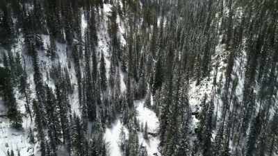 422 more parks have
been created in the US - Yellowstone: One-Fifty
