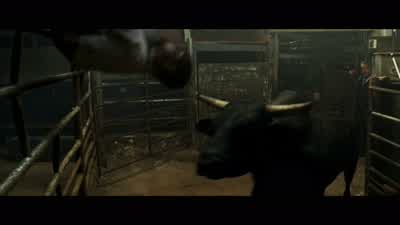 $43 million! - 2 Guns