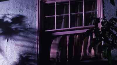 432 Elm Street. - The Cheerleaders