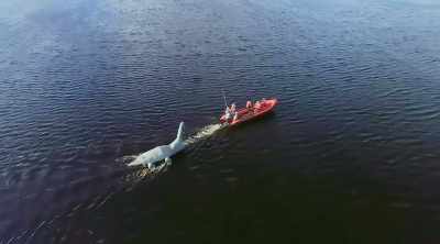 46 miles from its source, - World's Most Scenic River Journeys