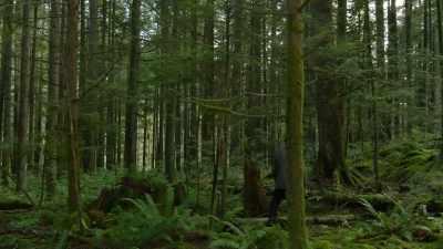50,000 years ago, - Cosmos: Possible Worlds