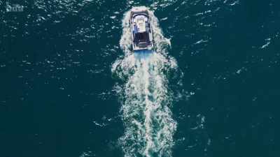 50 years ago, off the
coast of North Devon, - Wild Isles