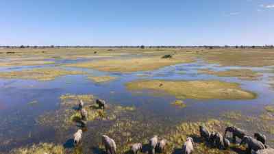 5km to the south
and beyond the deep channel - Predators