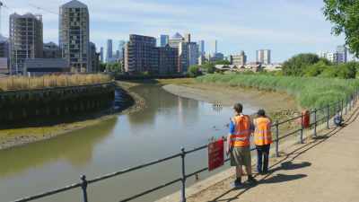6,000 volunteers have contributed
to the work at Cody Dock, - Wild Isles
