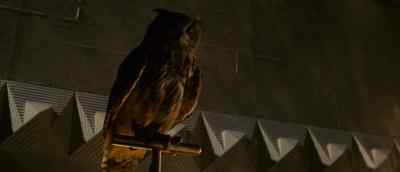 66,000 Prosser & Ankovich. - Blade Runner