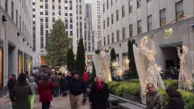 686 square feet. - Sharing Christmas